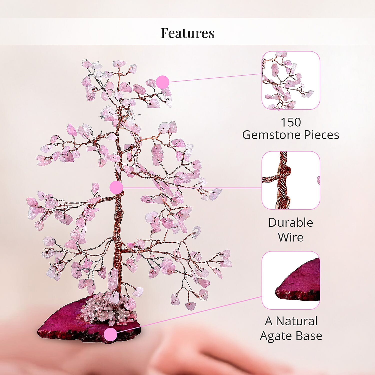 Pink - Product card gallery slide 4 (9432919146751)