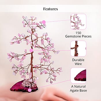 Pink - Product card gallery slide 4 (10178144633145)