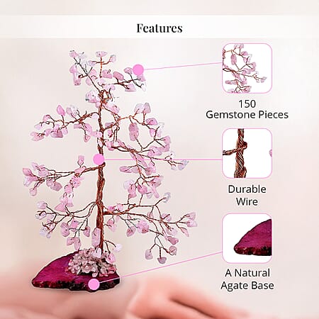 Pink - Product card gallery slide 4 (10178144633145)