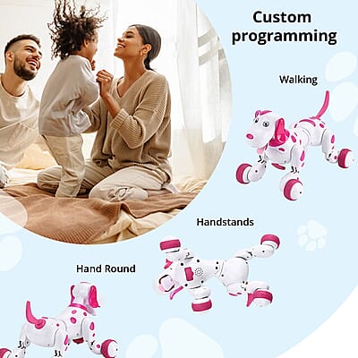 Livmore Pink 2.4G Smart Remote Control Dog Toy