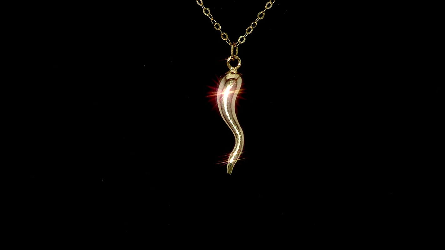 Italian Horn Pendant Necklace in 10K Yellow Gold 1.39 Grams 18-20 Inches