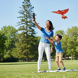 Livmore Red Bionic Remote Control Bird Aircraft Toy