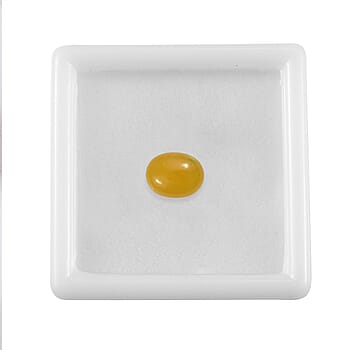 Default Title - Product card gallery slide 4 (10178172518713)