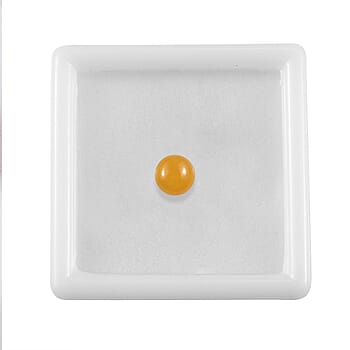 Default Title - Product card gallery slide 4 (10178172846393)