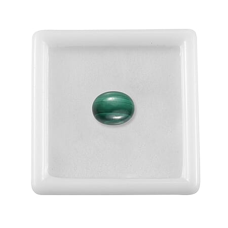 Default Title - Product card gallery slide 4 (10178178285881)