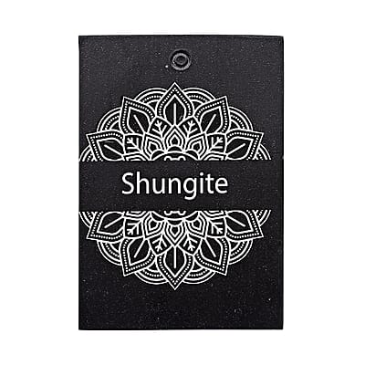 Livmore Black Paw Print Shungite Round Charm for Dogs