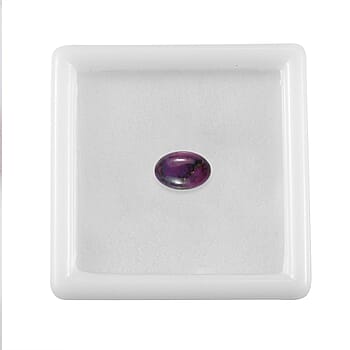 Default Title - Product card gallery slide 4 (10178191786297)