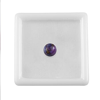 Default Title - Product card gallery slide 4 (10178191753529)