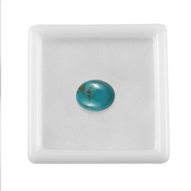 AA Sierra Nevada Turquoise (Ovl 11x9 mm) 2.90 ctw Loose Gemstone