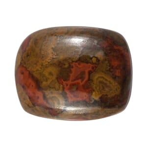Slice Agate (Cush 10x8 mm) 2.60 ctw