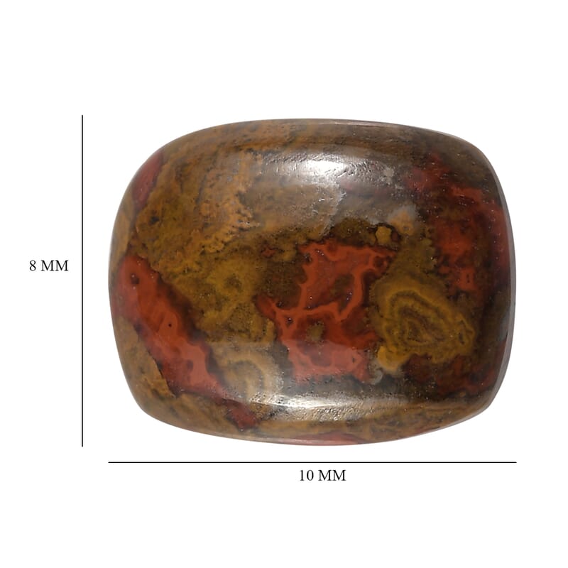Slice Agate (Cush 10x8 mm) 2.60 ctw Loose Gemstone