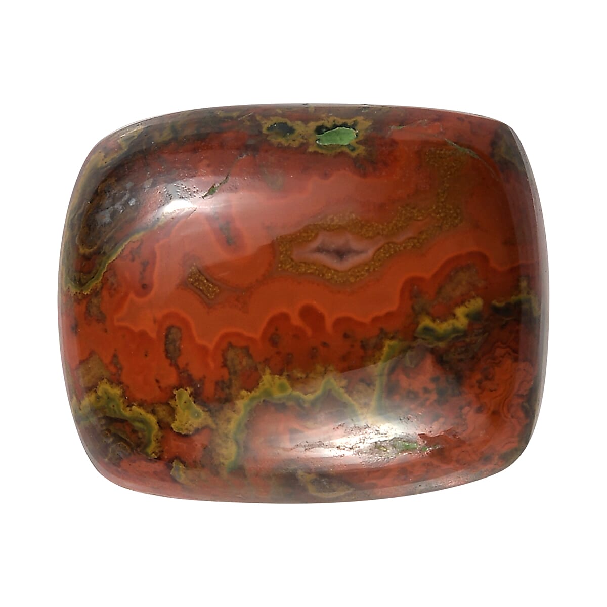Slice Agate (Cush 11x9 mm) 3.10 ctw Loose Gemstone