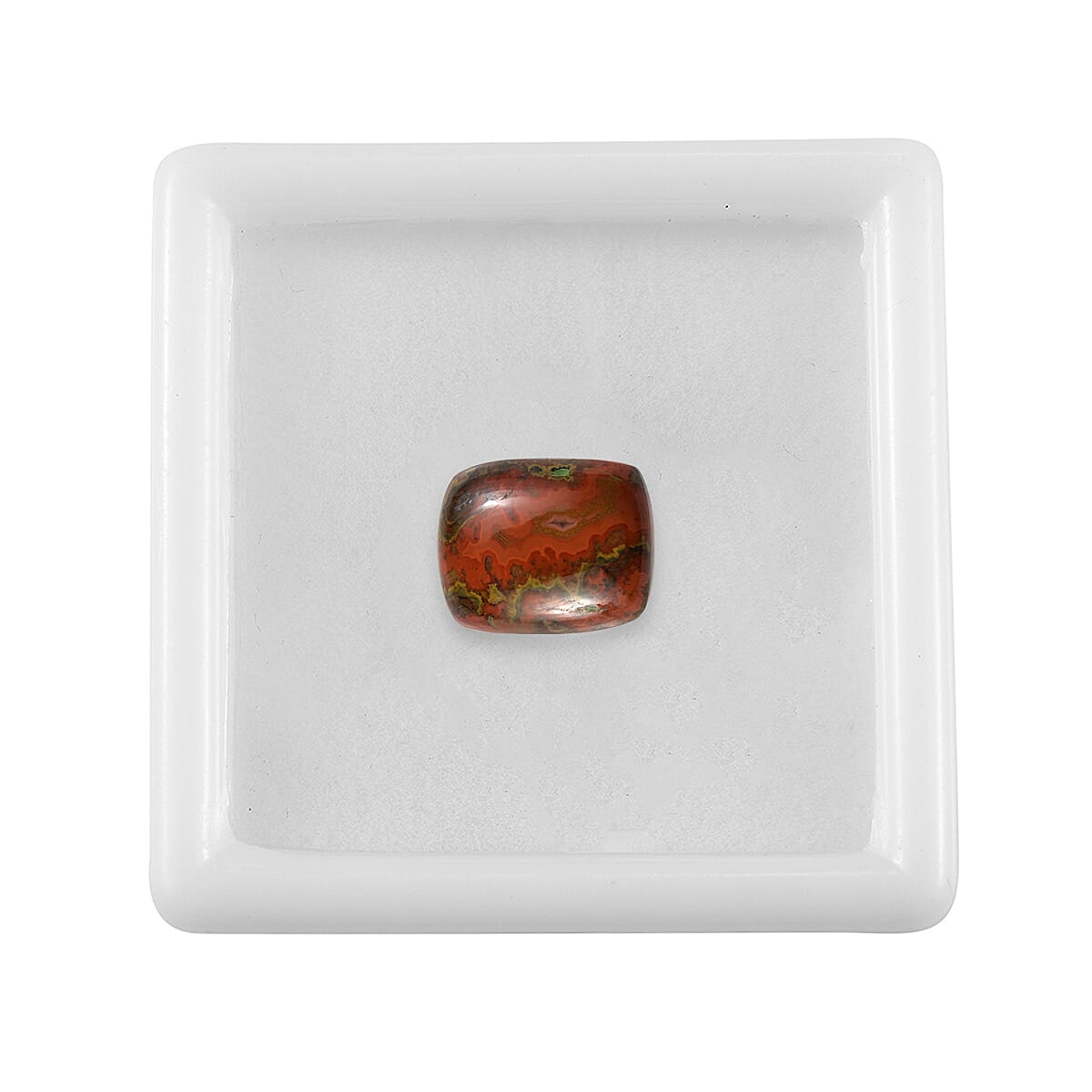 Slice Agate (Cush 11x9 mm) 3.10 ctw Loose Gemstone