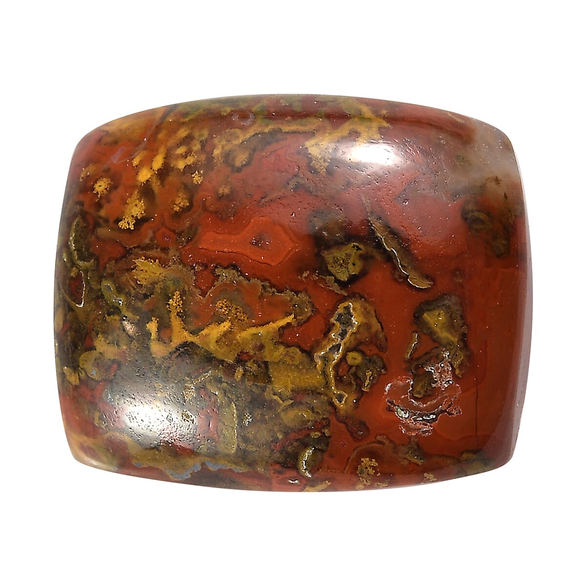 Slice Agate (Cush 12x10 mm) 3.80 ctw Loose Gemstone image number 0