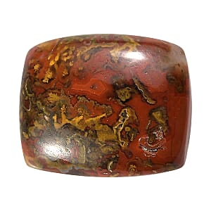 Slice Agate (Cush 12x10 mm) 3.80 ctw Loose Gemstone