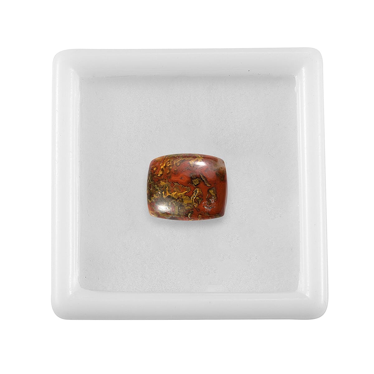 Slice Agate (Cush 12x10 mm) 3.80 ctw Loose Gemstone image number 3