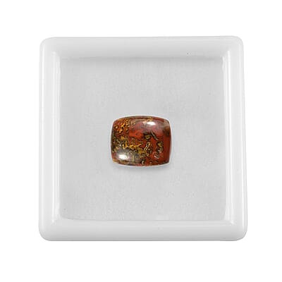 Slice Agate (Cush 12x10 mm) 3.80 ctw Loose Gemstone