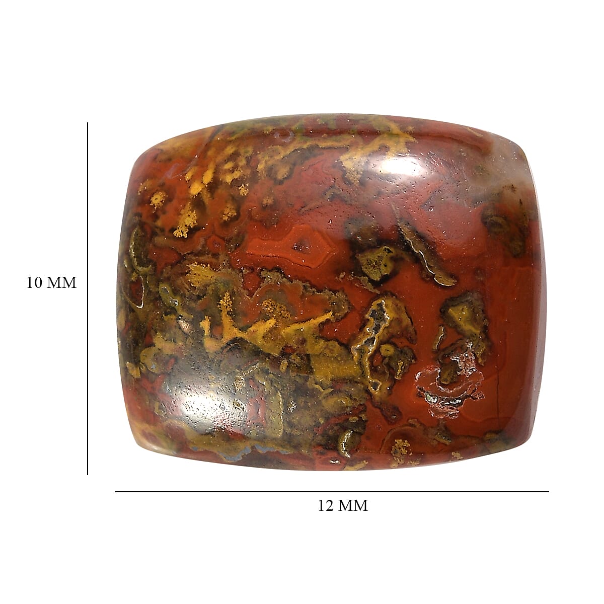 Slice Agate (Cush 12x10 mm) 3.80 ctw Loose Gemstone image number 4
