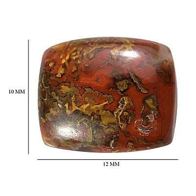 Slice Agate (Cush 12x10 mm) 3.80 ctw Loose Gemstone