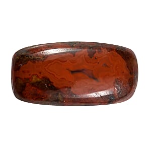Slice Agate (Cush 12x6 mm) 1.78 ctw Loose Gemstone
