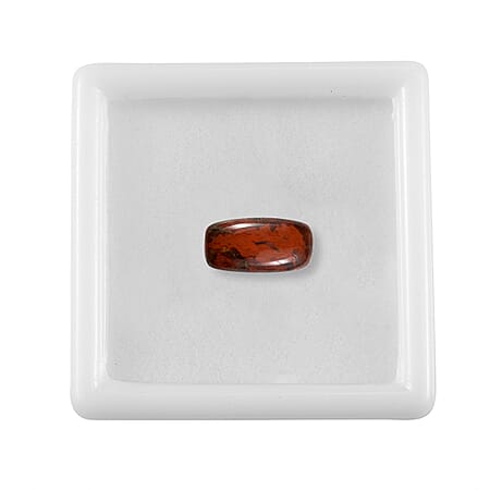 Default Title - Product card gallery slide 4 (10178191950137)