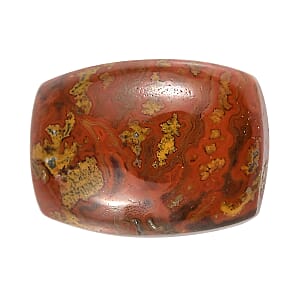 Slice Agate (Cush 8x6 mm) 1.08 ctw Loose Gemstone