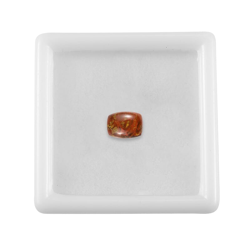 Slice Agate (Cush 8x6 mm) 1.08 ctw Loose Gemstone