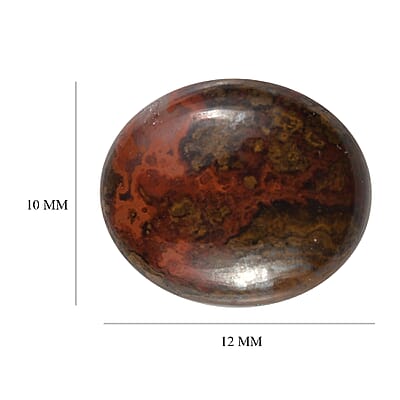 Slice Agate (Ovl 12x10 mm) 3.26 ctw Loose Gemstone