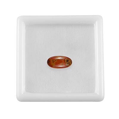 Slice Agate (Pear 12x6 mm) 1.69 ctw Loose Gemstone