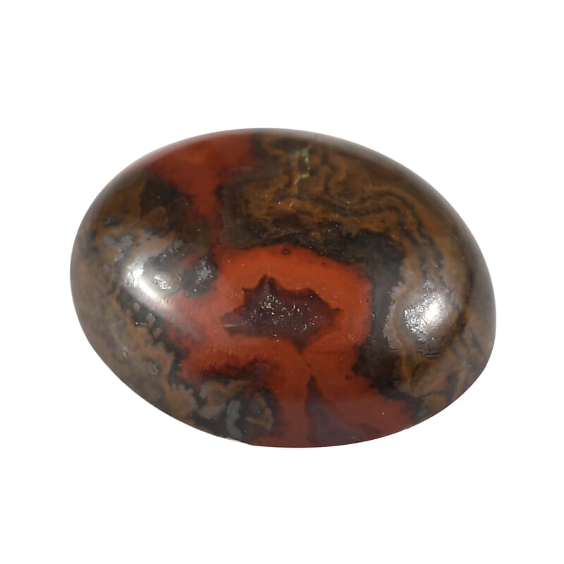 Slice Agate (Oval 10x8 mm) 4.10 ctw Loose Gemstone