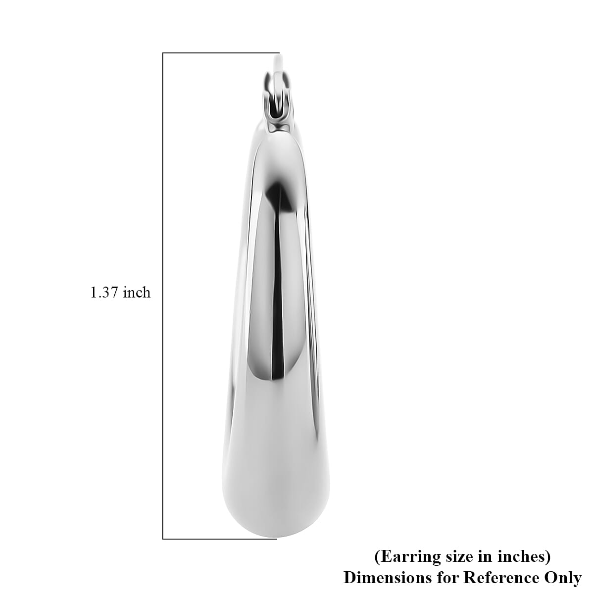 Round Hoop Earrings in Stainless Steel image number 5
