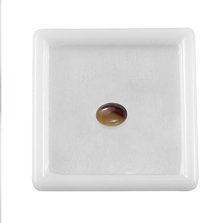 Default Title - Product card gallery slide 3 (10178200174905)