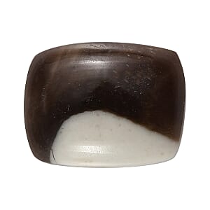 Peanut Wood Jasper (Cush 9x7 mm) 1.50 ctw Loose Gemstone