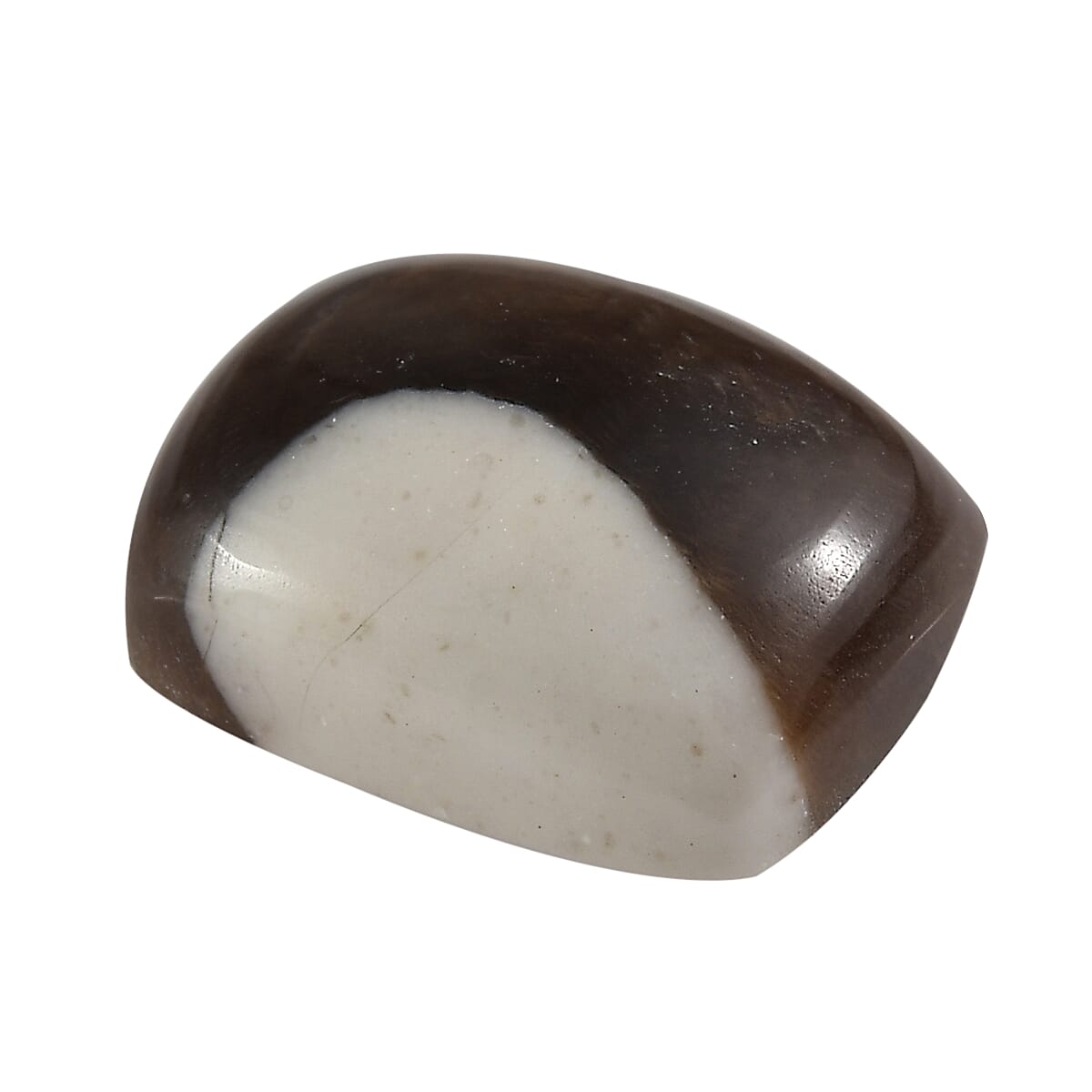 Peanut Wood Jasper (Cush 9x7 mm) 1.50 ctw Loose Gemstone image number 1