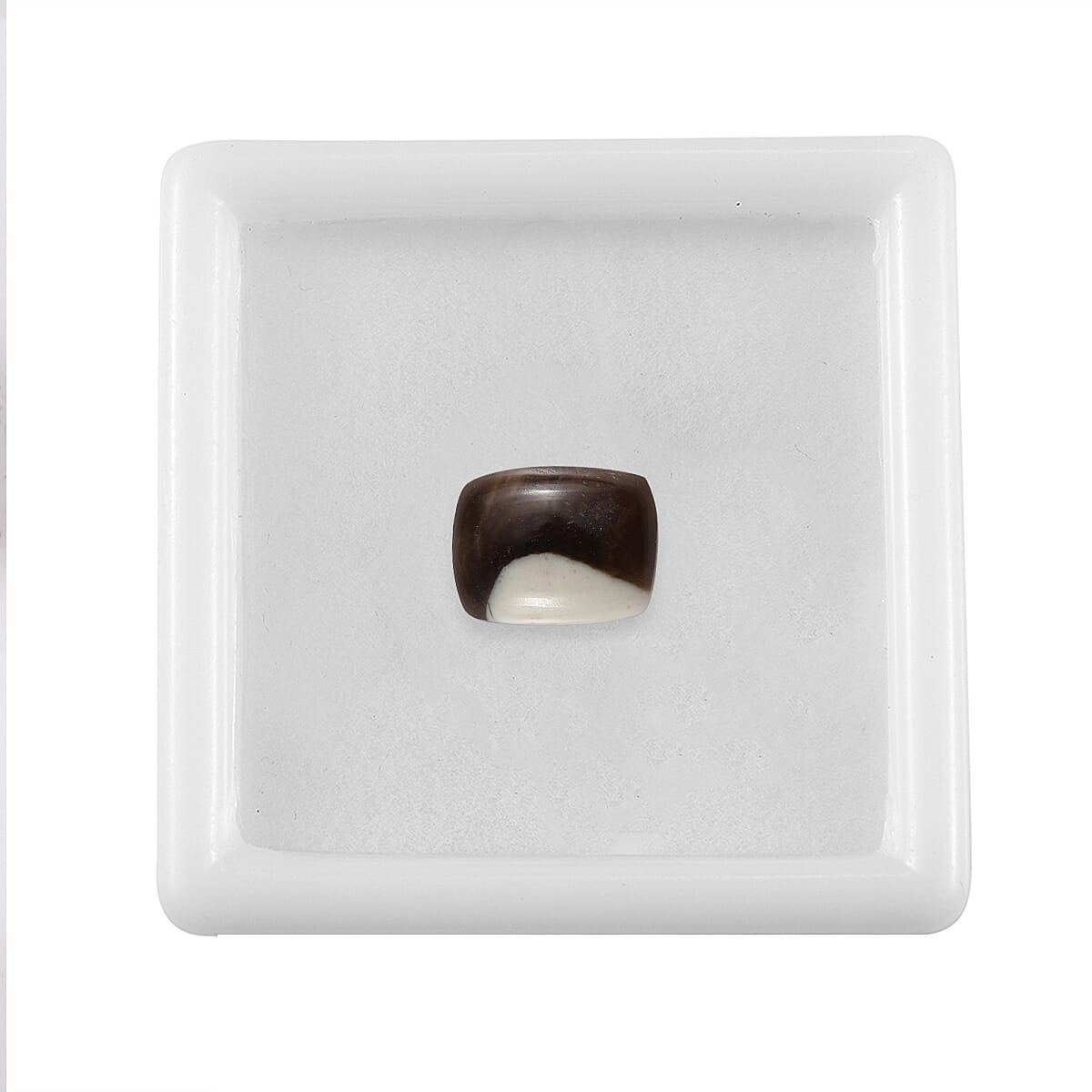 Peanut Wood Jasper (Cush 9x7 mm) 1.50 ctw Loose Gemstone image number 2