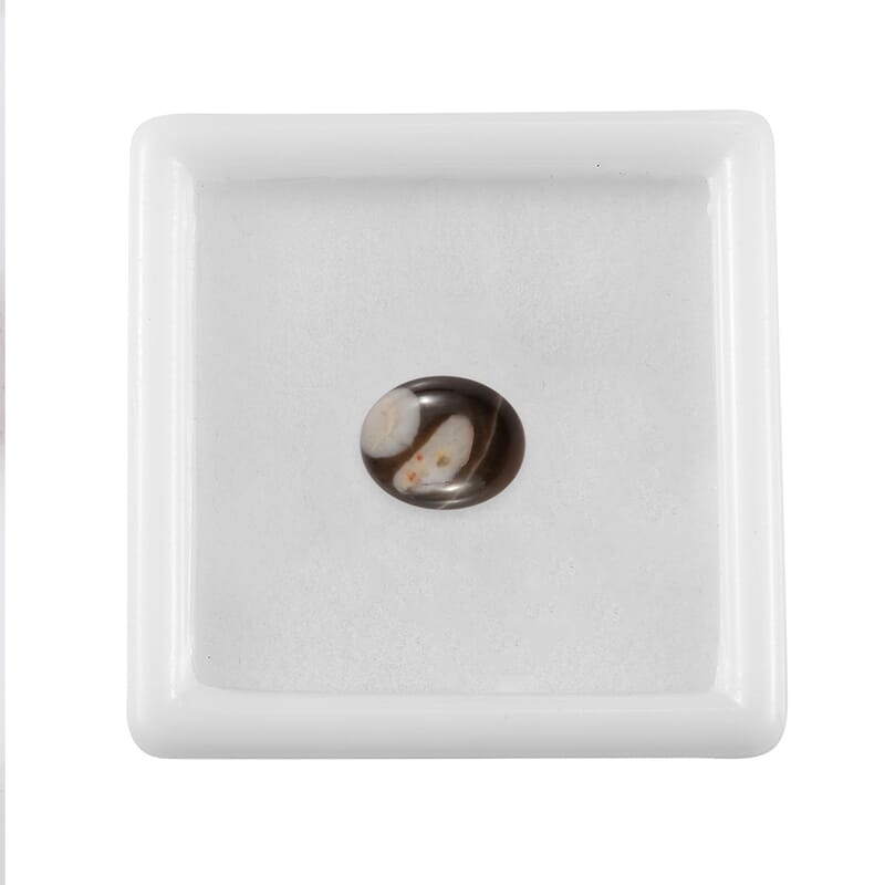 Peanut Wood Jasper (Ovl 10x8 mm) 1.74 ctw Loose Gemstone