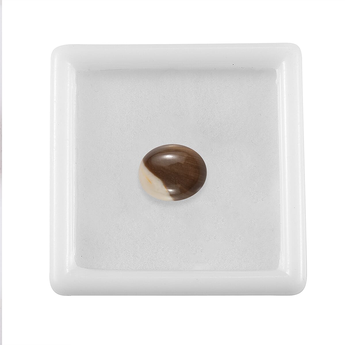Peanut Wood Jasper (Ovl 11x9 mm) 2.62 ctw Loose Gemstone