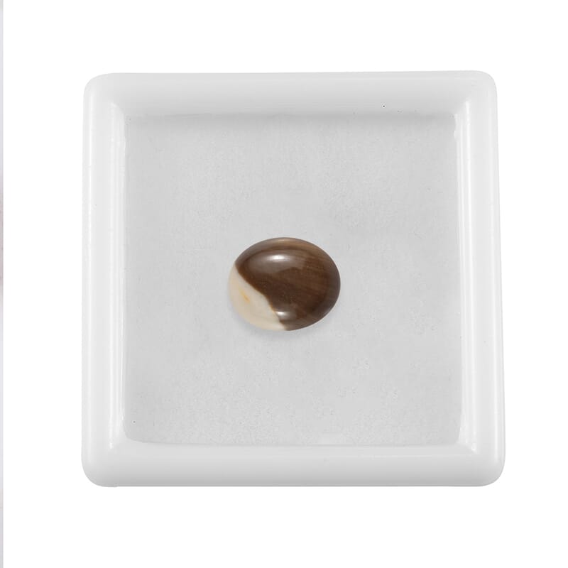 Peanut Wood Jasper (Ovl 11x9 mm) 2.62 ctw Loose Gemstone
