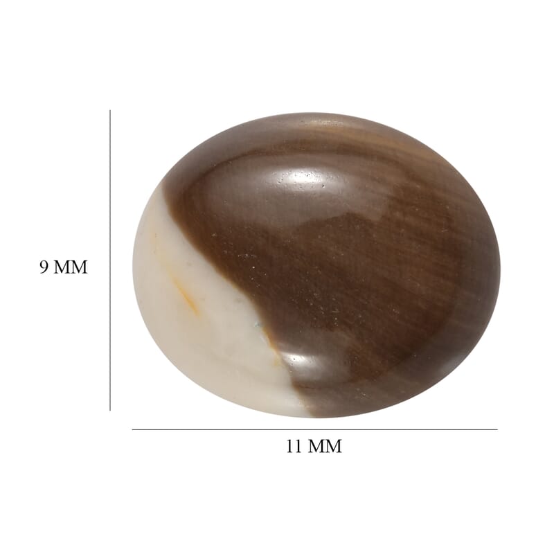 Peanut Wood Jasper (Ovl 11x9 mm) 2.62 ctw Loose Gemstone