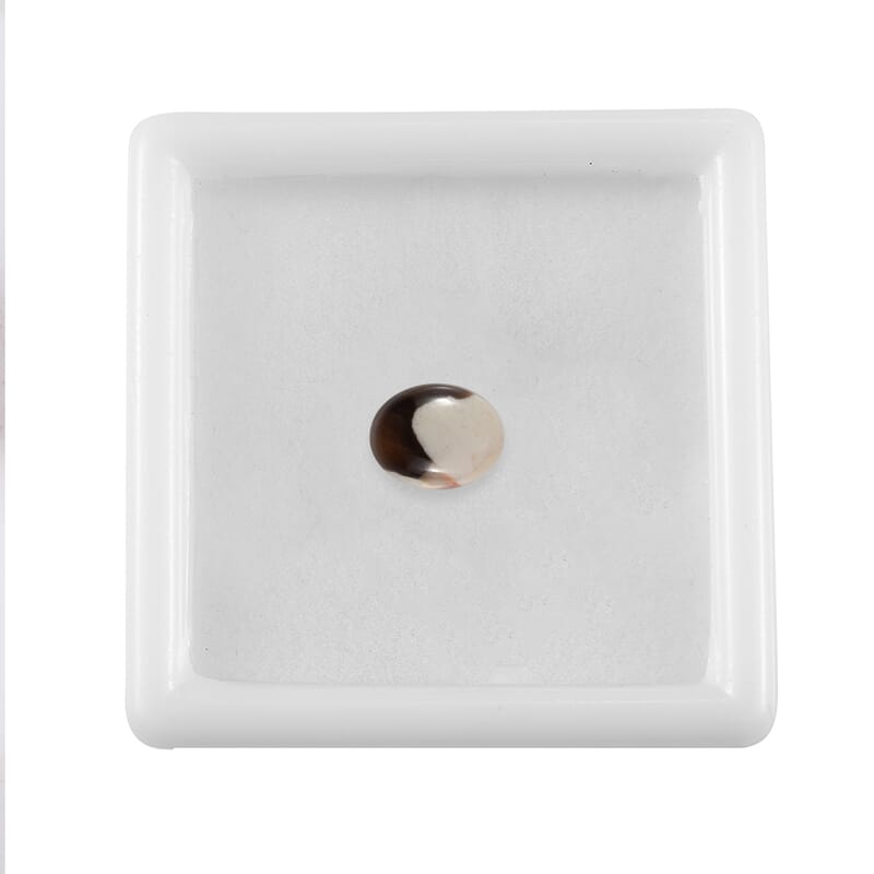 Peanut Wood Jasper (Ovl 9x7 mm) 1.13 ctw Loose Gemstone
