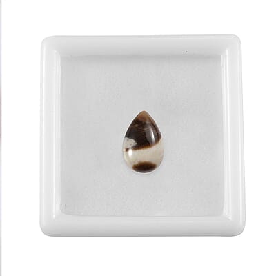 Peanut Wood Jasper (Pear 12x8 mm) 2.10 ctw Loose Gemstone