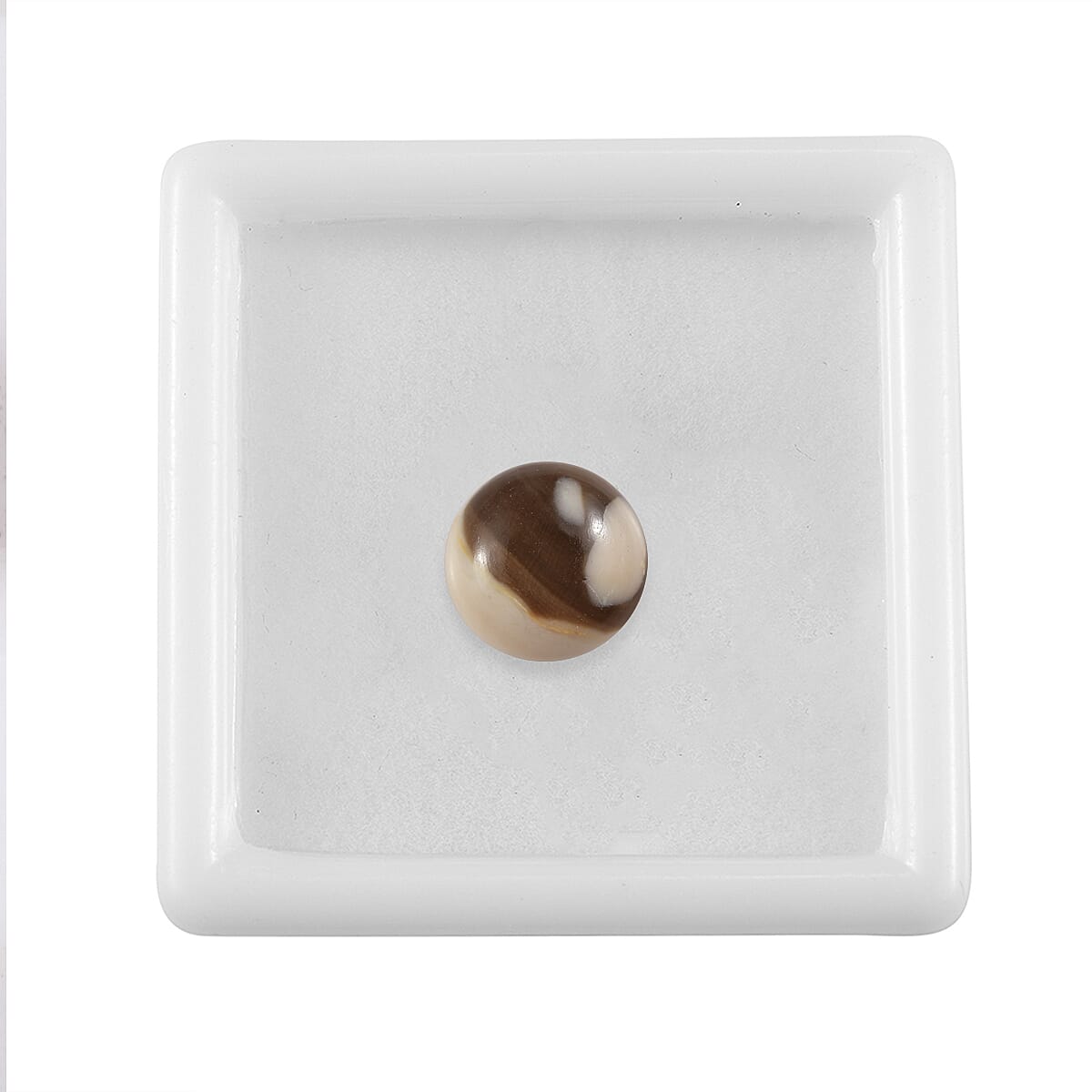 Default Title - Product card gallery slide 3 (9432981405951)