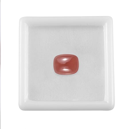 Default Title - Product card gallery slide 3 (10178201092409)