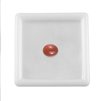 Default Title - Product card gallery slide 3 (10178201125177)
