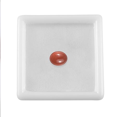 Default Title - Product card gallery slide 3 (10178201125177)