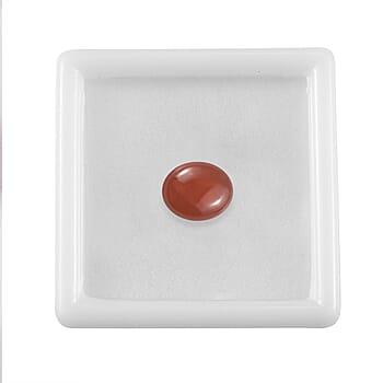 Default Title - Product card gallery slide 3 (10178201059641)