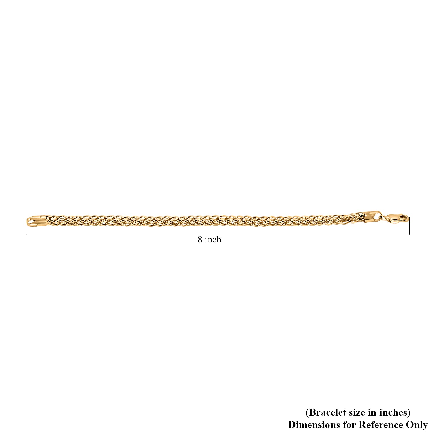 Palma Chain Bracelet in 10K Yellow Gold (8.00 In) 8.25 Grams