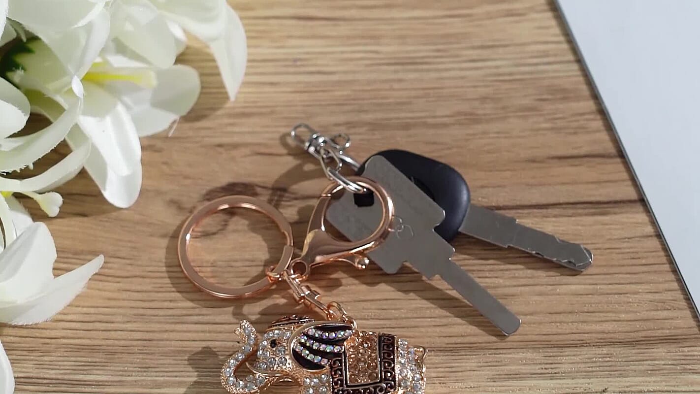 Livmore Multi Color Glass and Crystal Set of 3 Elephant Keychain in Goldtone