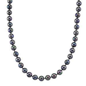 Tahitian Shell Pearl Necklace in ION Plated YG Stainless Steel 20 Inches