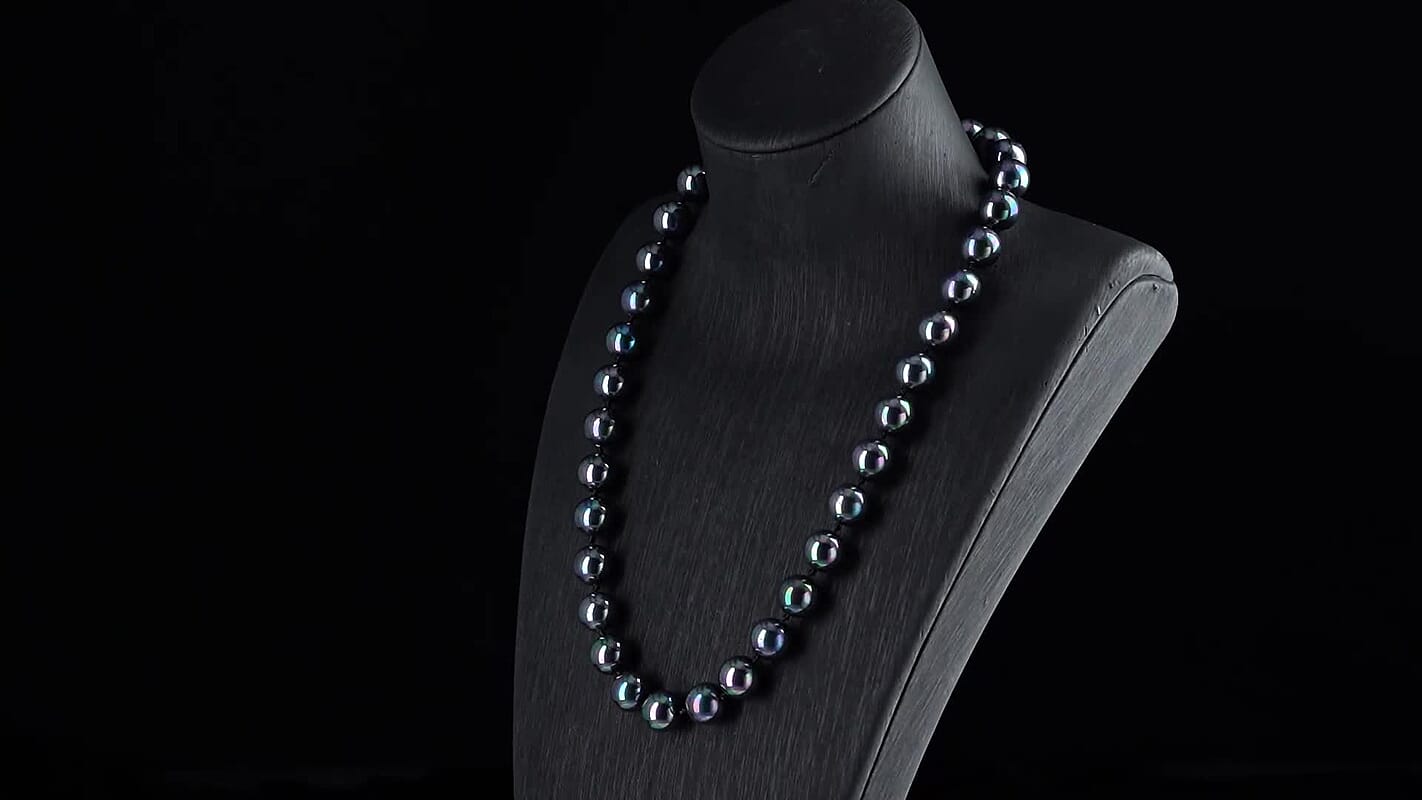 Tahitian Shell Pearl Necklace (20 Inches) in ION Plated YG Stainless Steel